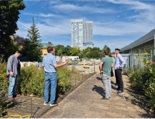 Klimagärtner:in im Fokus – Zürich und Wien im Dialog über grüne Zukunftsberufe